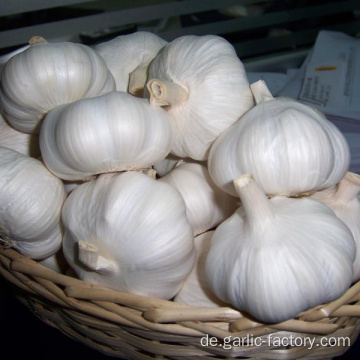 Frischer natürlicher Knoblauch Preis HEISSER VERKAUF